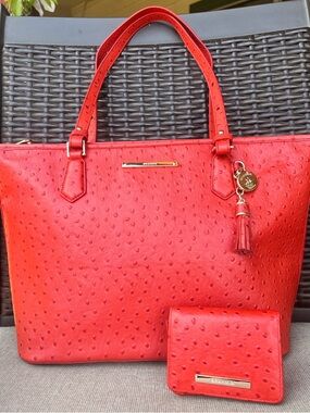 NWT Brahmin SET  FLAME ALLOVER OSTRICH Medium Asher & MiNI KAY  Wallet
